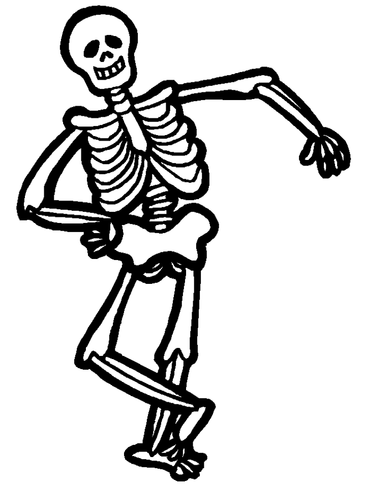 scheletul