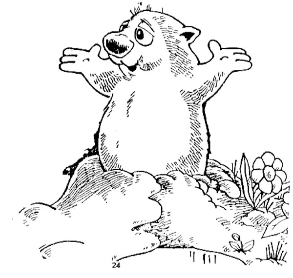 yellow bellied marmot coloring pages - photo #5