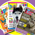 Au aparut revistele de februarie Terra Magazin, Doxi si PIPO! Au aparut revistele de februarie Terra Magazin, Doxi si PIPO!