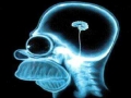 IQ Test
