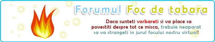 Forumul Foc de Tabara