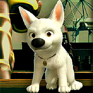Bolt