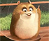 Hamster Rhino Hamster Rhino