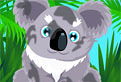 Ingrijeste Ursuletii Koala!
