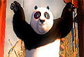Kung Fu Panda Cauta Alfabetul