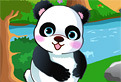 Panda de Imbracat