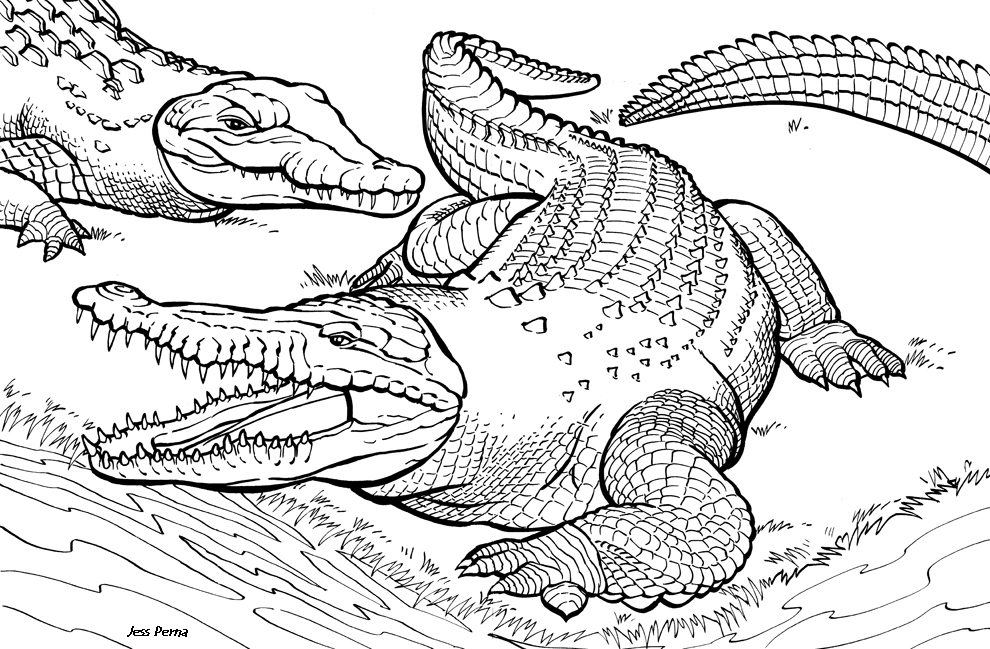 Plansa de colorat cu crocodili fiorosi