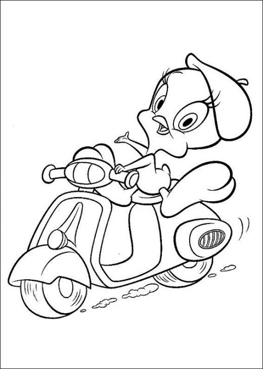 cute To emphasize passage Tweety pe motocicleta