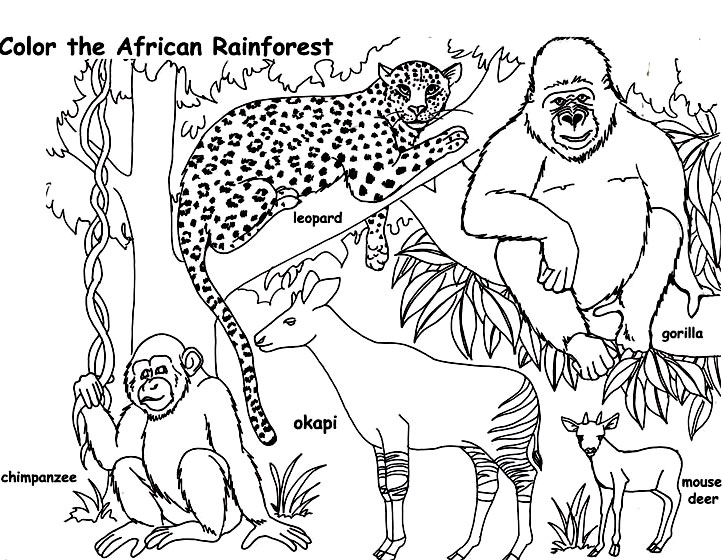 Plansa De Colorat Cu Animalele Din Africa