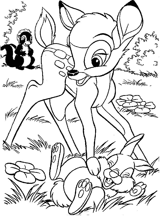 Bambi se joaca cu Bocanila