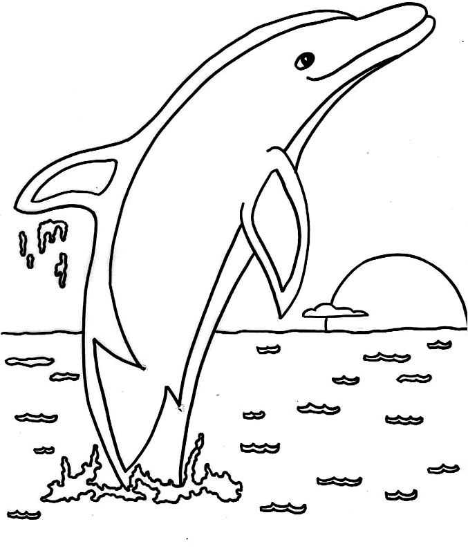 Delfin acrobat