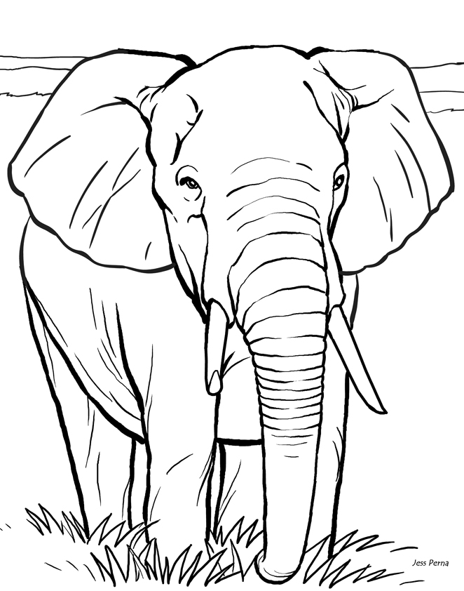 Plansa De Colorat Cu Elefantul