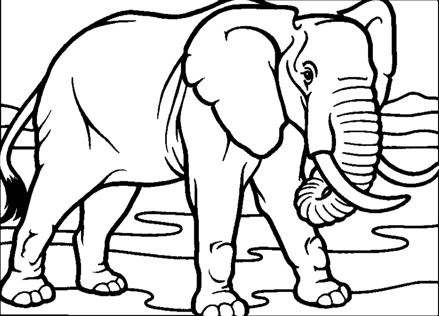 Plansa De Colorat Cu Un Elefant