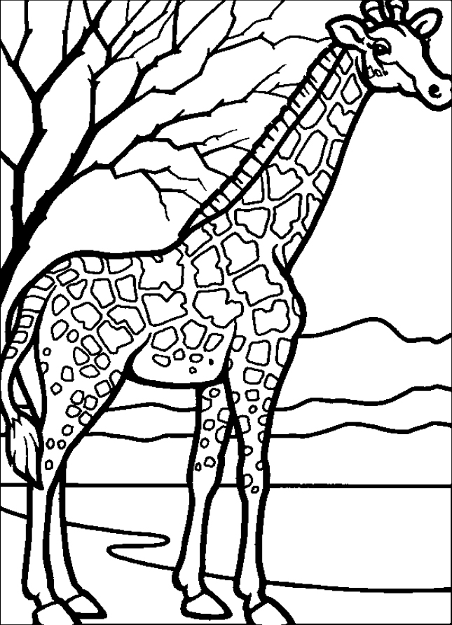 Plansa de colorat cu o girafa