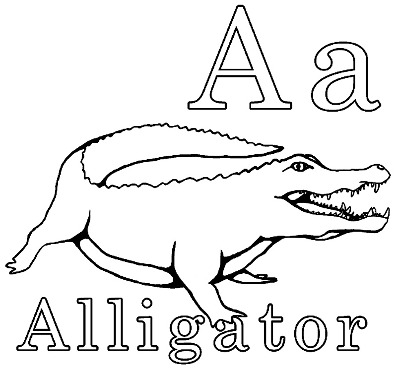 A este de la aligator