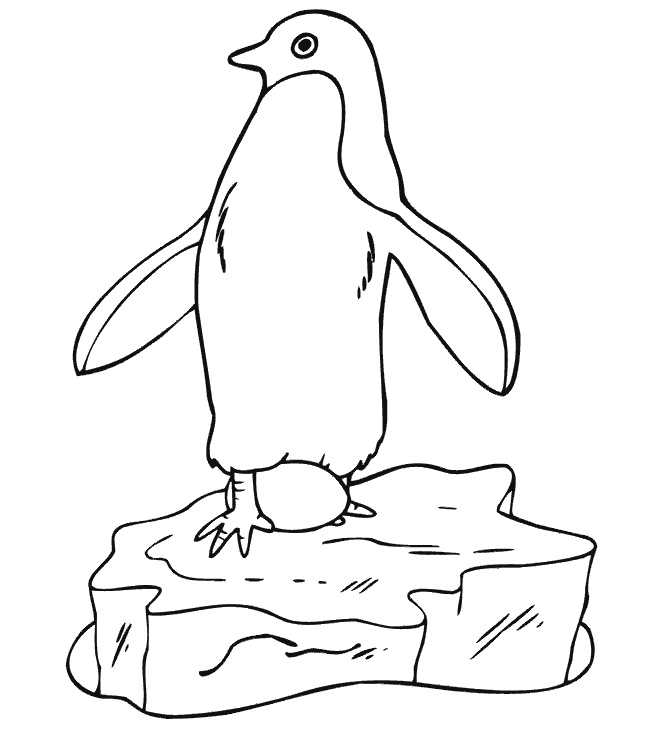 Pinguinul Si Oul De Colorat