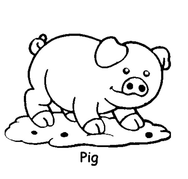 Plansa de colorat cu un porc