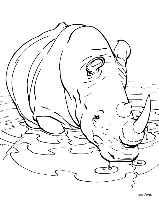 Plansa de colorat cu un rinocer