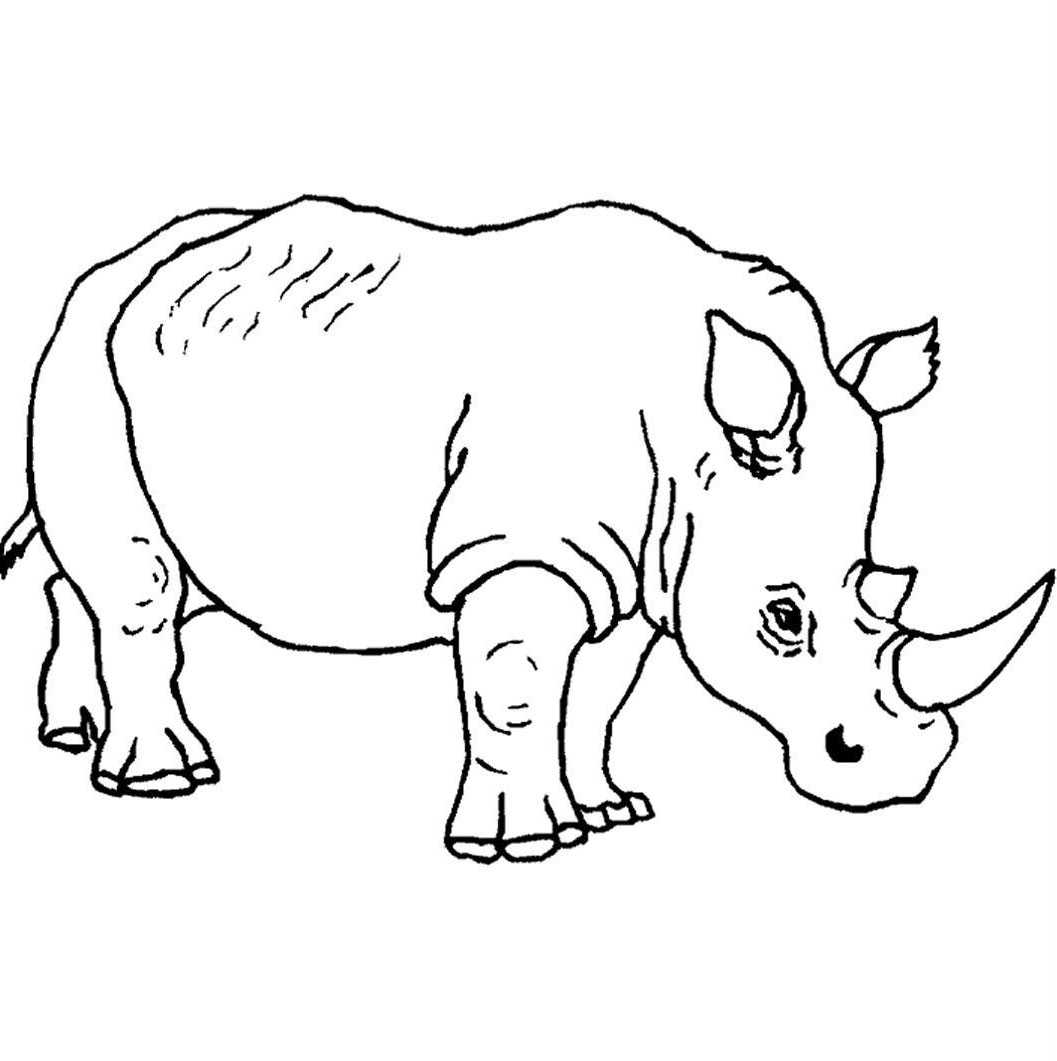 Rinocer de colorat