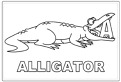 Litera A de la aligator