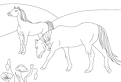 Plansa de colorat cu cai