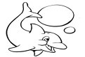 Delfin jucaus