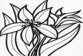 Floare de iris