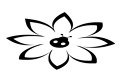 Floarea gargarita