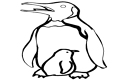 Plansa de colorat cu un pinguin cu pui