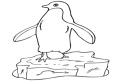 Pinguinul si oul de colorat
