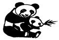Ursul Panda cu puiul