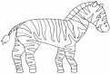 Plansa de colorat cu o zebra