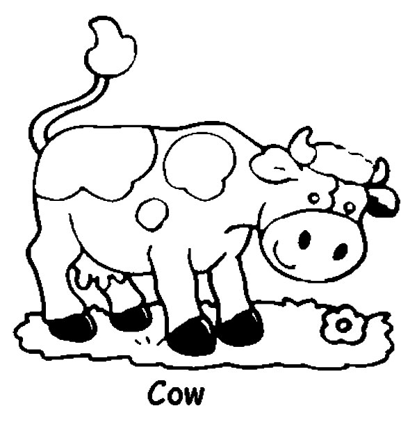 Plansa de colorat cu o vaca