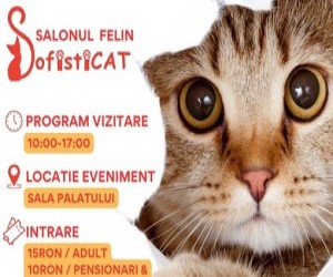 Castigatorul cupei europene feline 2024 va putea fi admirat la Salonul Felin SofistiCAT