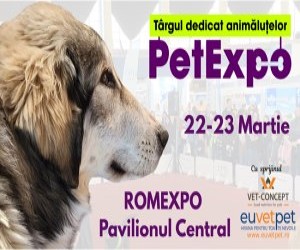 Rasele romanesti de caini, vedetele PetExpo 2025, la ROMEXPO