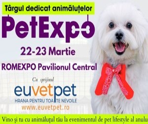 PetExpo 2025: Produse smart, sedinte foto gratuite si concursuri cu premii pentru animalele de companie, weekendul acesta la Romexpo