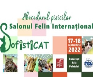 SofistiCAT - Salonul Felin International Bucuresti revine la Sala Palatului cu editia speciala 