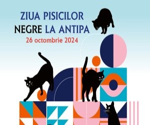 Ziua pisicilor negre la Antipa