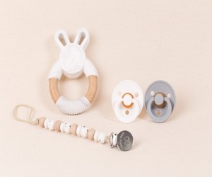 Jucarii si accesorii premium pentru copii, disponibile la Little Prints