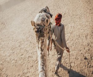 Calatorie dincolo de mit: Explorarea preconceptiilor din jurul Egiptului