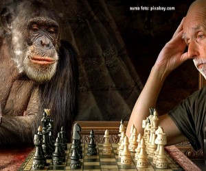 Istoria sahului. Cine a inventat jocul?