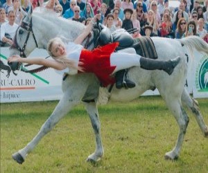 Karpatia Pony Show - cinci zile de competitii ecvestre dinamice si interactive pe Domeniul Cantacuzino din Floresti, Prahova