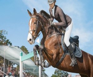 Karpatia Horse Show 2023: cea de-a opta editie, calificativ pentru Jocurile Olimpice de la Paris!