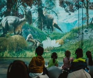 MINA prezinta spectacolul imersiv Dinozaurii - O calatorie imersiva  in lumea preistorica