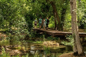 Micii exploratori: cum transformi o simpla plimbare in padure intr-o aventura educativa