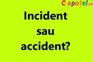 Lectia de vocabular: Incident sau accident?