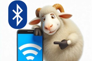 Lectia de TIC: Bluetooth vs. Wi-Fi - cand le folosim