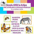 Scoala Altfel la Muzeul Antipa, 18 - 22 aprilie 2016