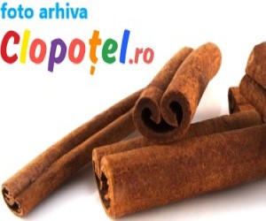 De ce este deosebita scortisoara?