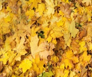 Luna septembrie - semnificatia primei luni de toamna